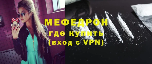 индика Надым