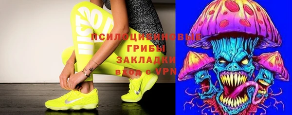 гашик Алзамай